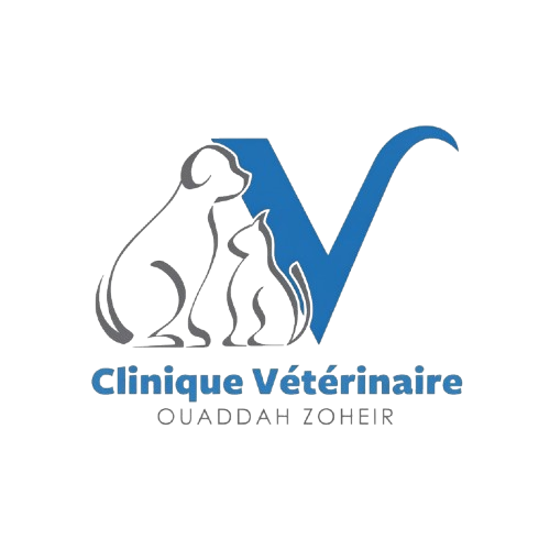 Vet Ouddah Logo